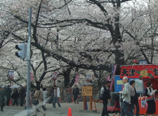 20080403-04̾¸Å²°97