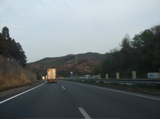 20080403-04̾¸Å²°108