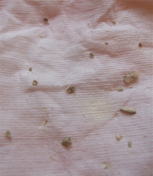 20080407»õÀнüµî3