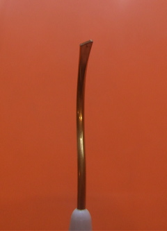 20080407»õÀнüµî5