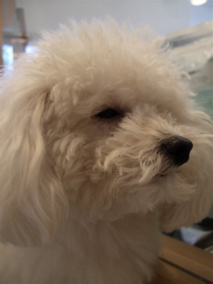 20080402-r3