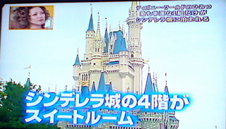 20080410ディズニーワールドのヒミツ1