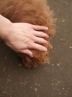 20080417-14