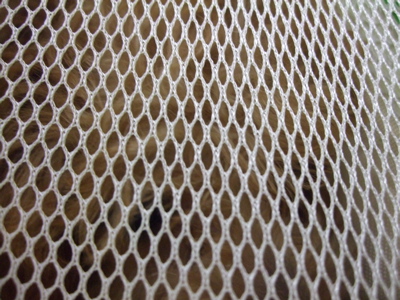 20080427¤ª¤Ä¤«¤¤¢ö10
