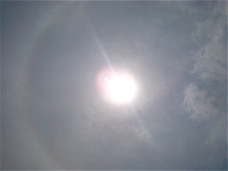 20080515おさんぽ日和1