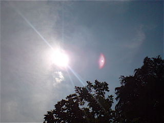 20080515おさんぽ日和3