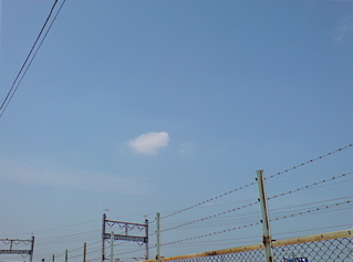 20080515おさんぽ日和4