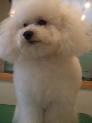 20080416-¥ì5