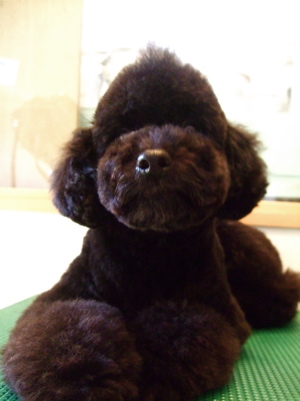 20080429-s5