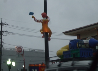 20080524ホワイトくん15