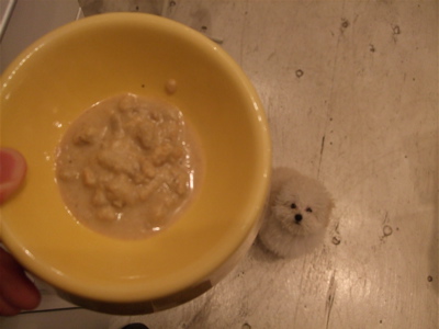 20080530ホワイトくん、ごはんごはん♪1