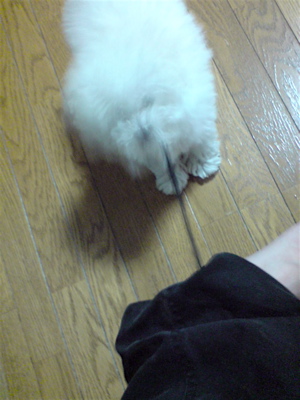 20080529家に帰ると…