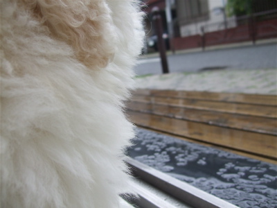 20080531雨2