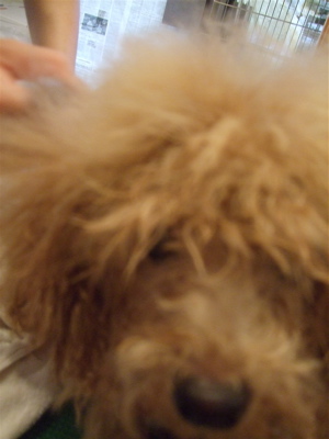 20080531-ル3