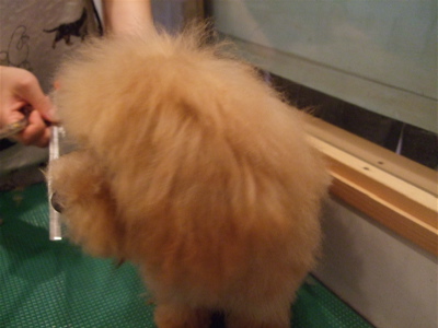 20080531-ル7