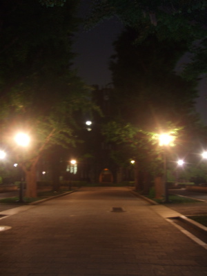 20080601ÅìÂç3