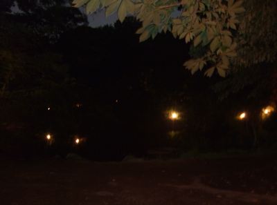 20080601ÅìÂç6
