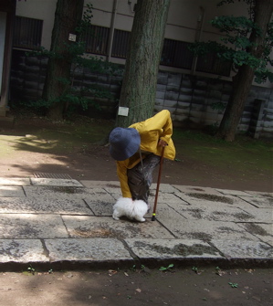 20080606ホワイトくん、いいお天気♪4