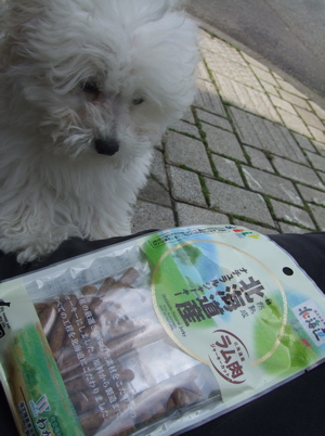 20080607ホワイトくん、おやつタイム♪