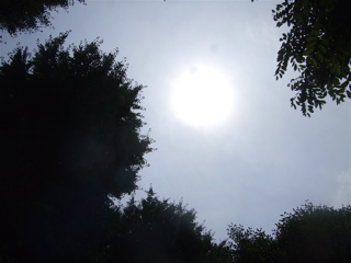 20080607天気がよくって気持ちいい〜♪1