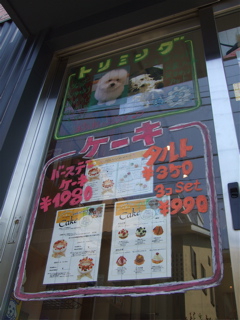 20080613¥É¥¢POP13