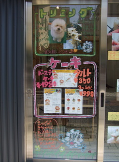 20080613¥É¥¢POP15