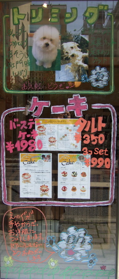 20080613¥É¥¢POP16