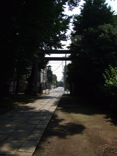 20080613¤Î¤ó¤Ó¤ê