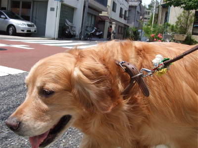 20080615-ジ3