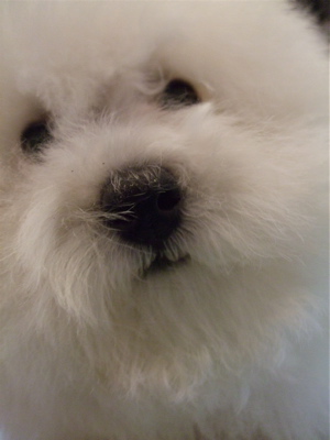 20080628¥Û¥ï¥¤¥È¤¯¤ó7