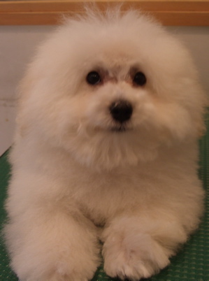 20080628¥Û¥ï¥¤¥È¤¯¤ó12