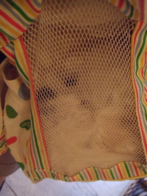 20080628ホワイトくん、旅立ち2