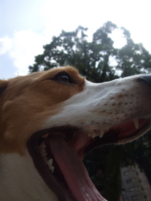 20080729¥á-1