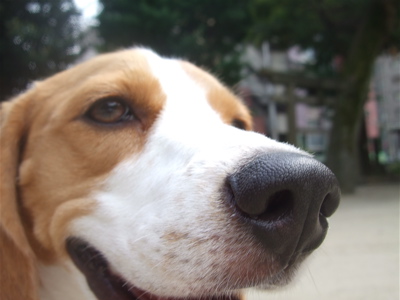 20080729¥á-7