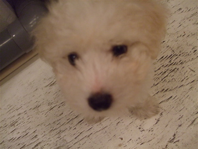 20080802¤¢¤ê¤ã¡©4