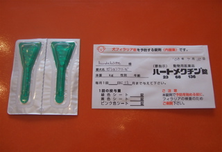 20080804ビションフリーゼ姉弟、フィラリア&ノミ・ダニ予防はじめました!1