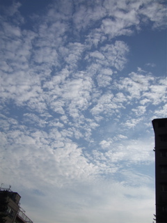200808140600-1