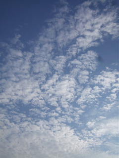 200808140600-2