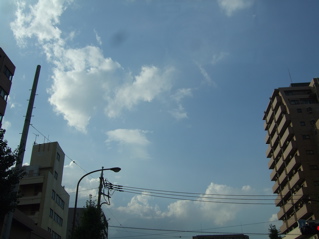 20080829¶õ-2