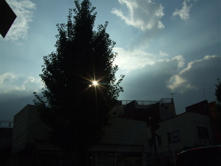 20080829¶õ-5