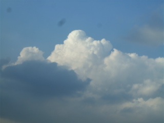 20080829¶õ-10