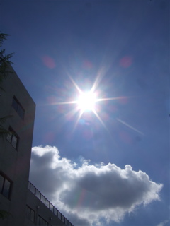 20080831晴れたー!