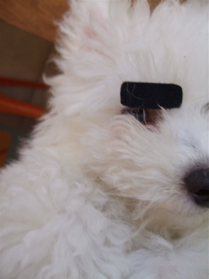 20080902¥Þ¥æÌӤǥÁ¥ã¥Á¥ã¥Á¥ã¢ö1