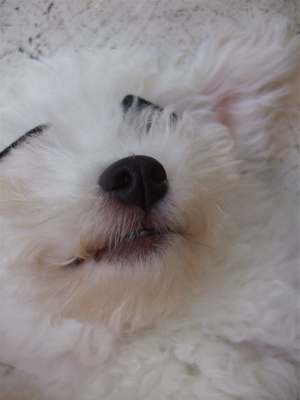 20080902¥Þ¥æÌӤǥÁ¥ã¥Á¥ã¥Á¥ã¢ö2
