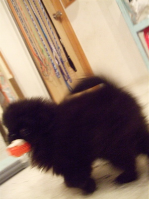 20080930¥¬¥à¥¬¥à¢ö¥«¥ß¥«¥ß¢ö2