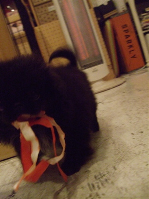 20080930¥¬¥à¥¬¥à¢ö¥«¥ß¥«¥ß¢ö4