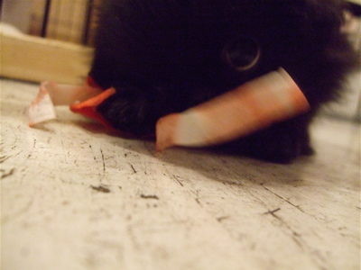 20080930¥¬¥à¥¬¥à¢ö¥«¥ß¥«¥ß¢ö6