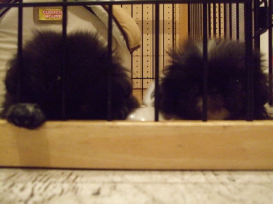 20081002Zzz¡Ä1