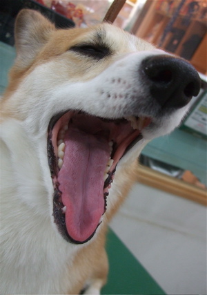 20090112リ7