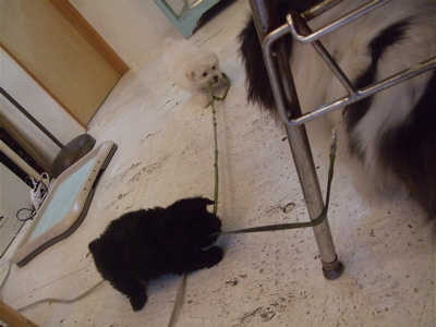 20090119¥°¥¤¥Ã¥°¥¤¡ª1